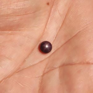 Natural Star Ruby (Unheated) 3.40 carat