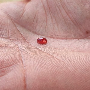 Pink Sapphire Cabochon(Natural Unheated Untreated) 6*4 mm