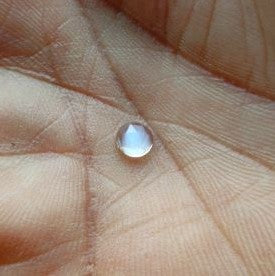 Moonstone rose cut