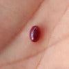 Load image into Gallery viewer, Ruby Cabochon 0.43 carat ( Natural Unheated)